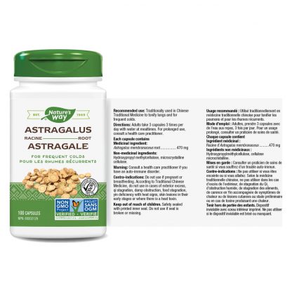 Astragalus Root - Image 3