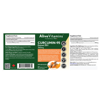 Curcumin-95 - Image 2
