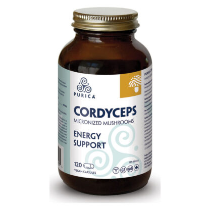 Cordyceps