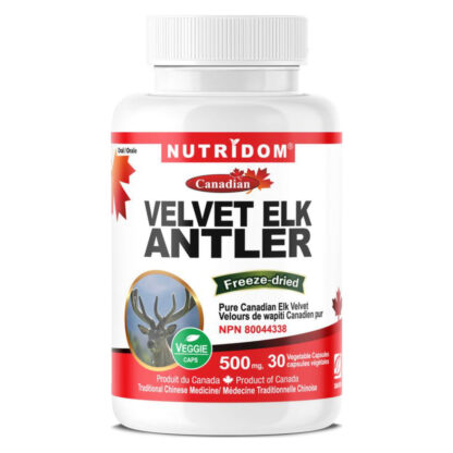 Velvet Elk Antler