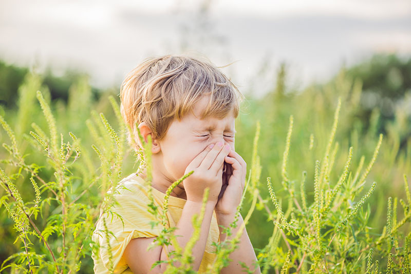 Allergy supplements