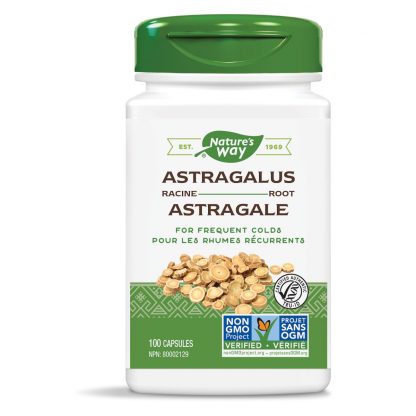 Astragalus Root