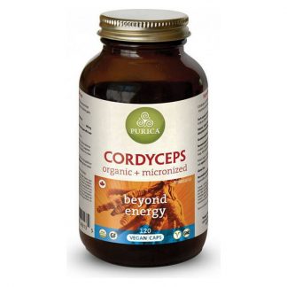 Cordyceps