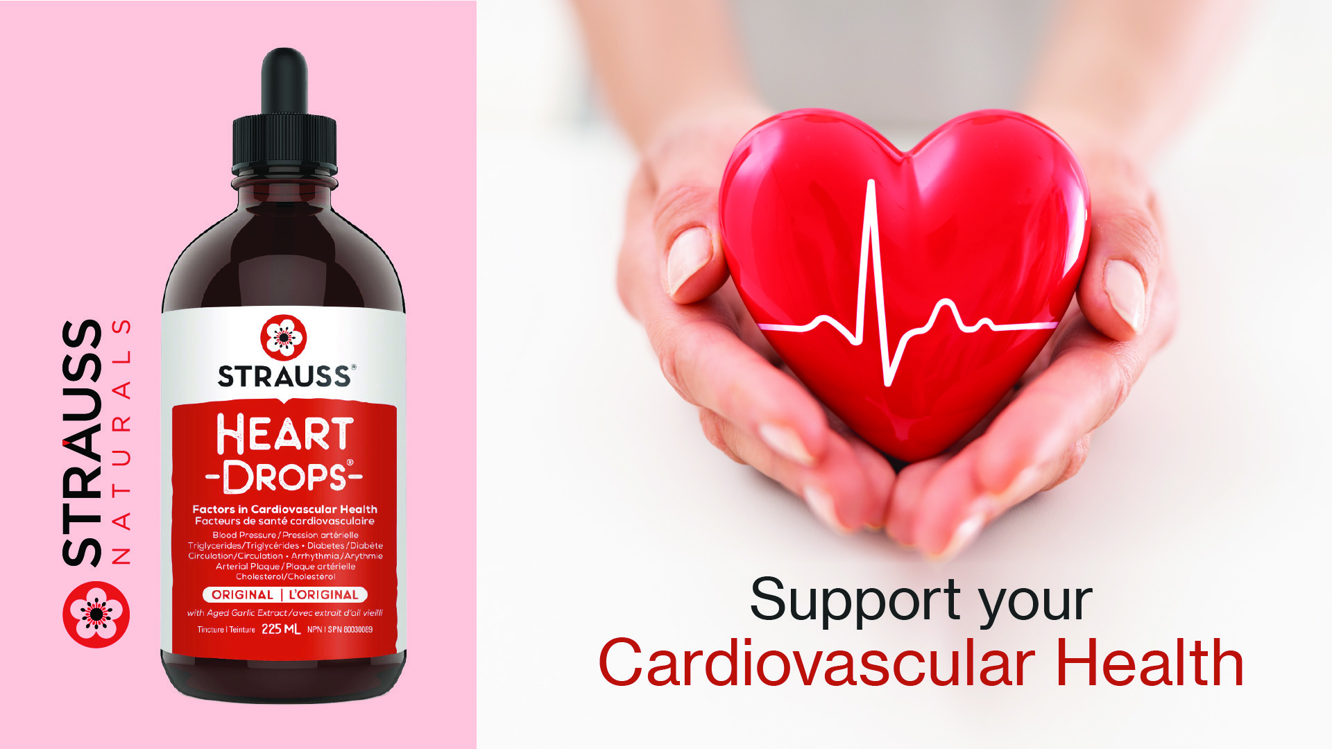 Support your cardiovascular system
